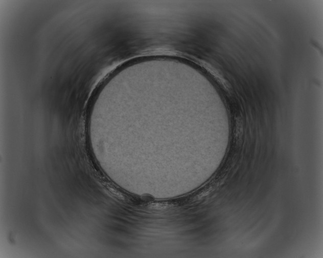 X0000097511364200803201606