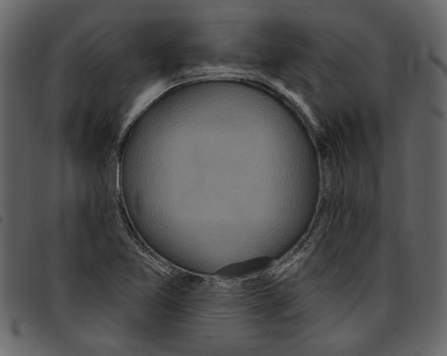 X0000097511365200803201606