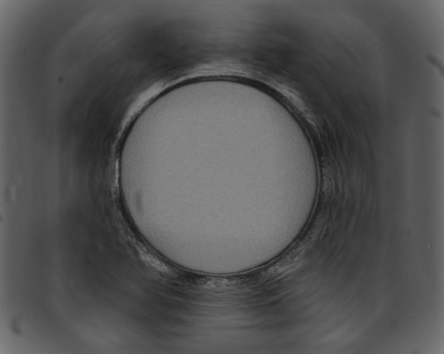 X0000097511366200803201606