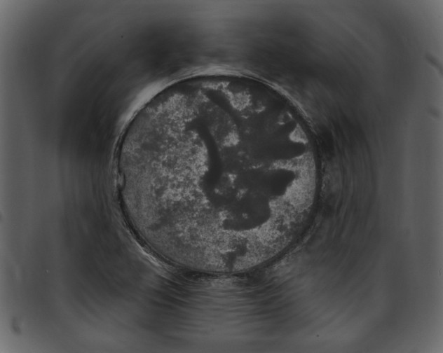 X0000097511367200803201606
