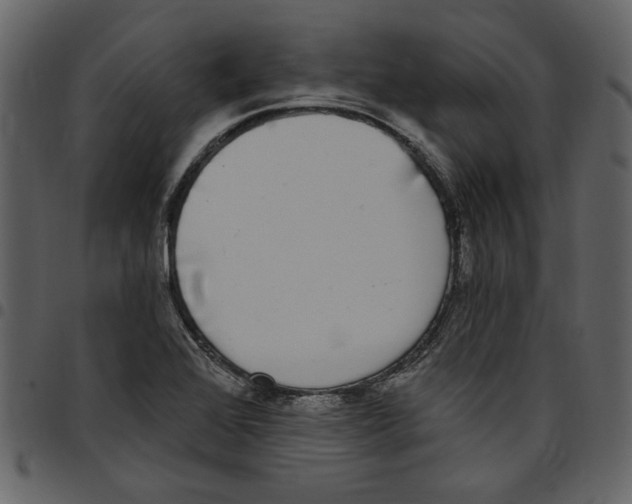 X0000097511368200803201606