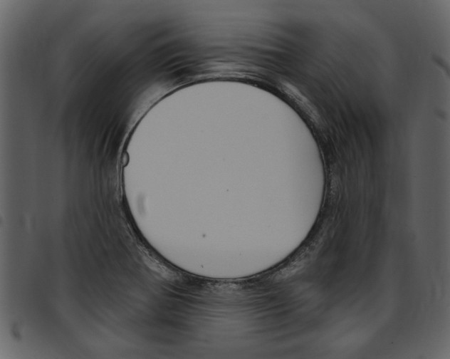 X0000097511370200803201606