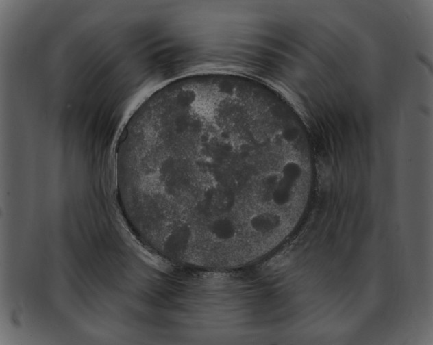 X0000097511371200803201606