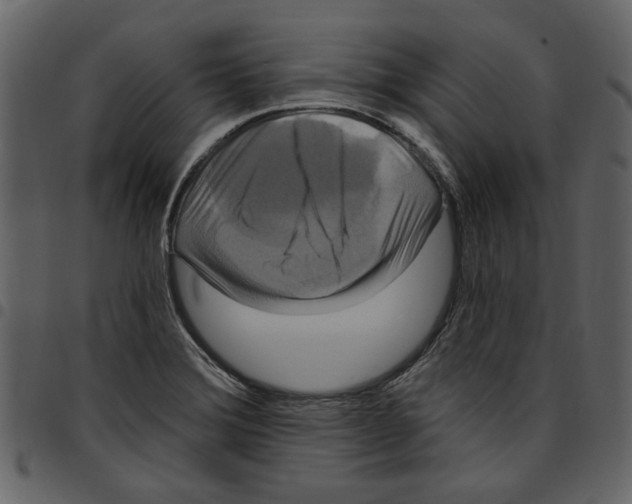 X0000097511372200803201606