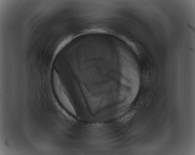 X0000097511373200803201605