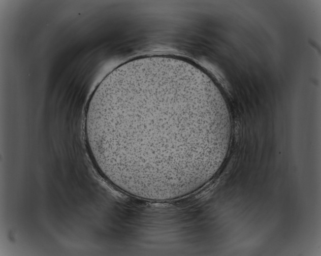 X0000097511374200803201605