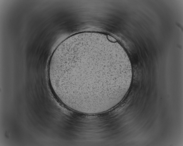 X0000097511375200803201605
