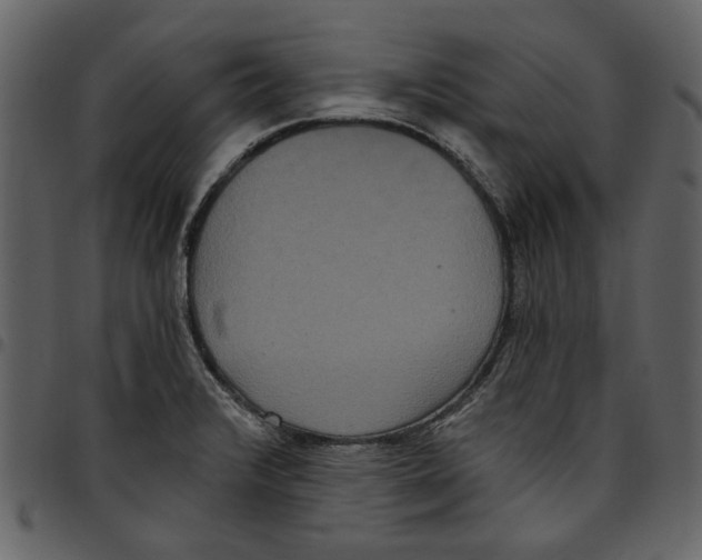 X0000097511376200803201605