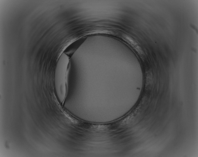 X0000097511377200803201605