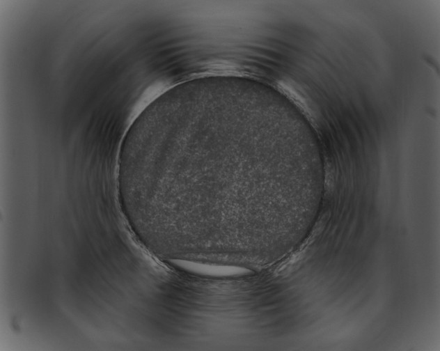 X0000097511378200803201605