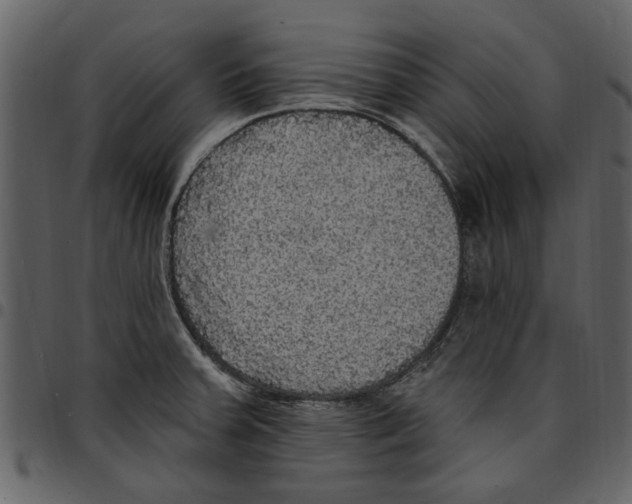 X0000097511379200803201605