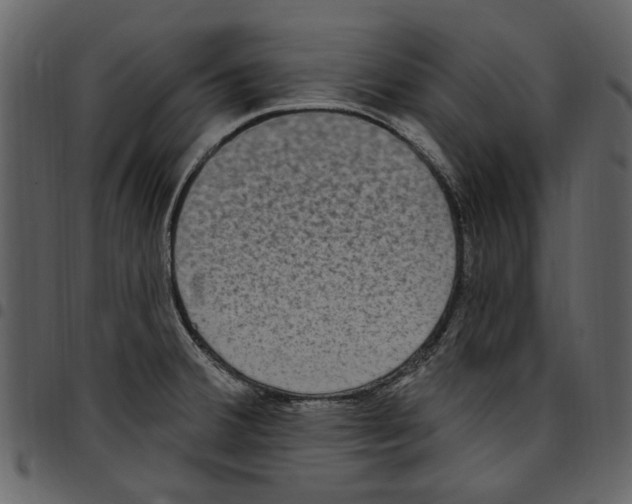 X0000097511380200803201605