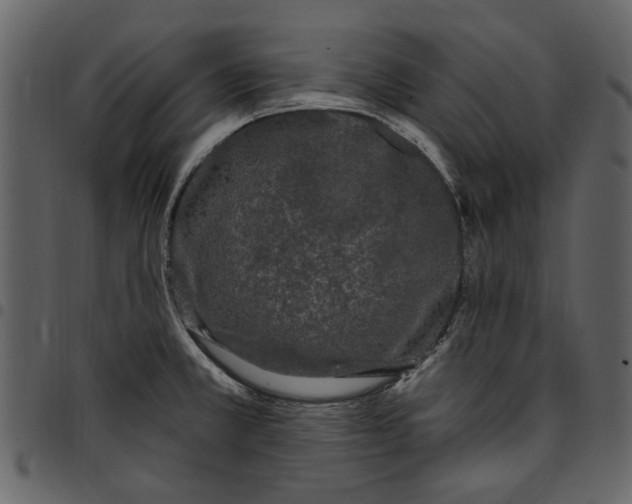 X0000097511381200803201605