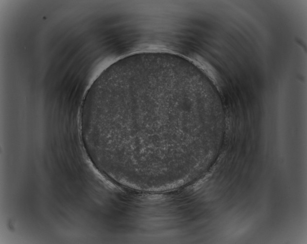 X0000097511382200803201605