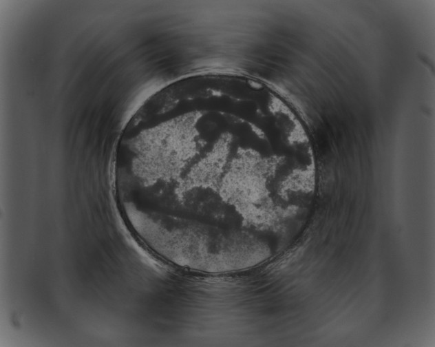 X0000097511383200803201605