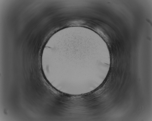 X0000097511384200803201605