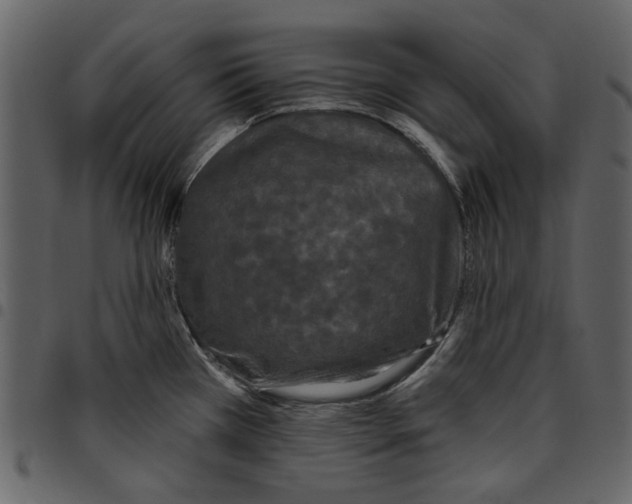X0000097511385200803201605
