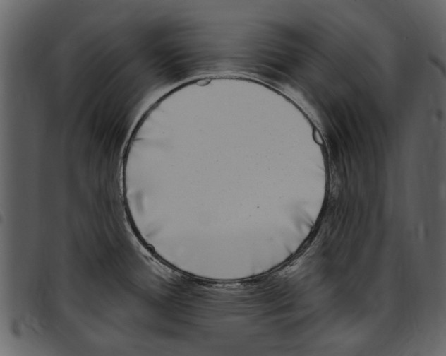 X0000097511388200803201605
