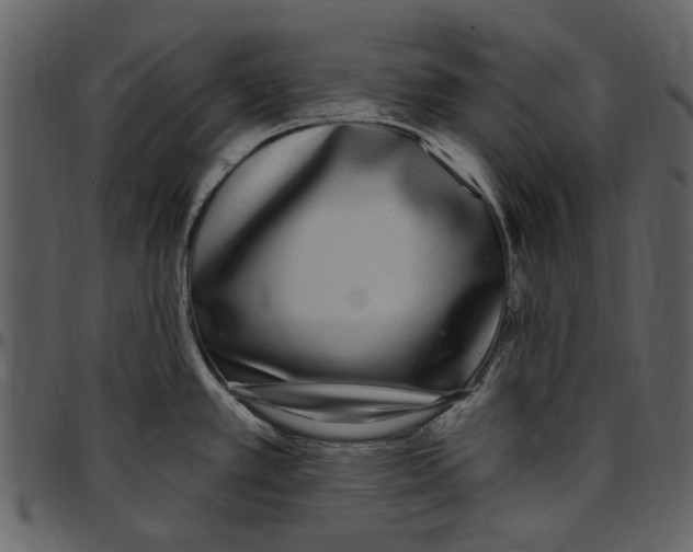 X0000097511389200803201605
