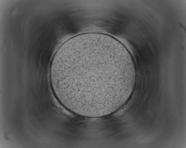 X0000097511390200803201605