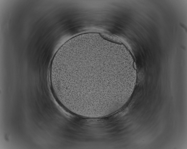 X0000097511391200803201605