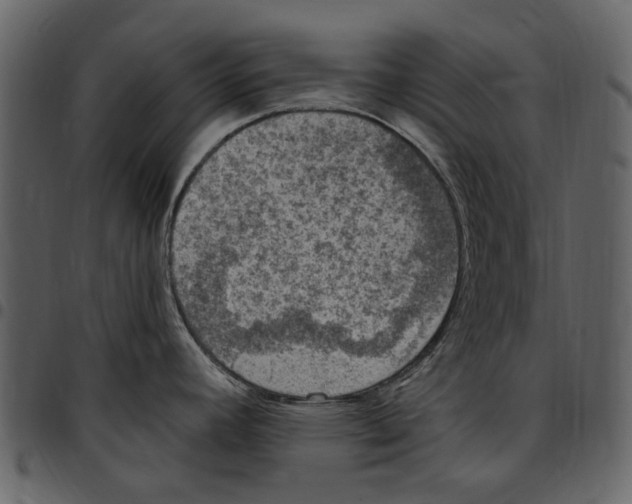 X0000097511392200803201605