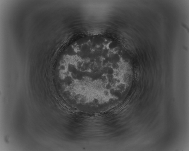 X0000097511393200803201605