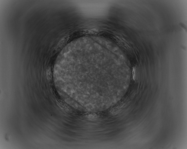 X0000097511395200803201605