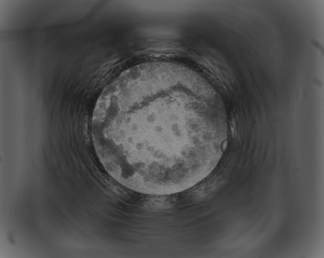 X0000097511396200803201605