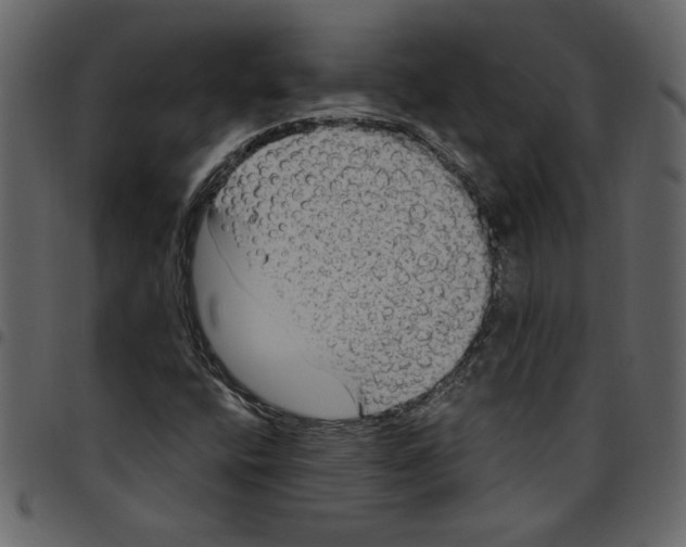X0000097511400200803201605