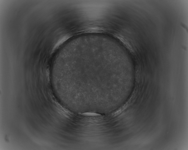X0000097511402200803201605