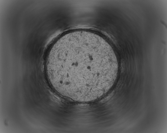 X0000097511406200803201605
