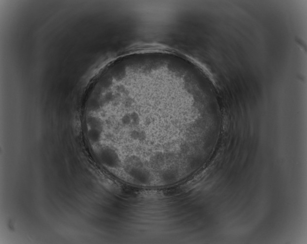 X0000097511407200803201605