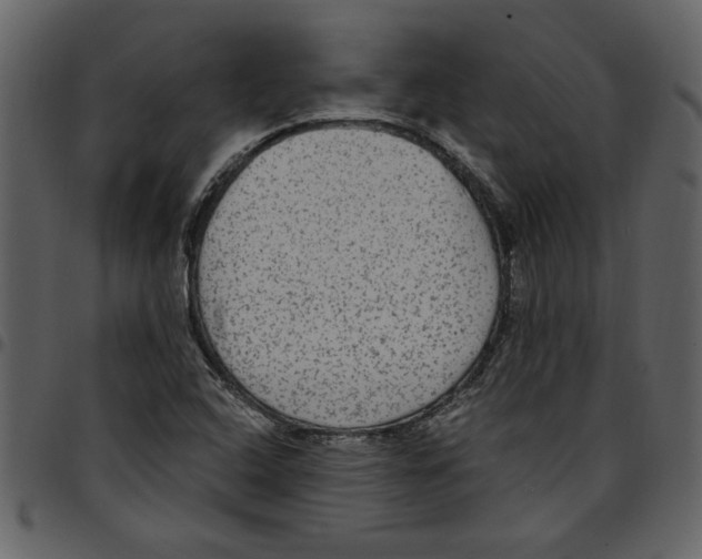 X0000097511408200803201605