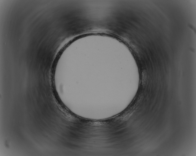 X0000097511412200803201605
