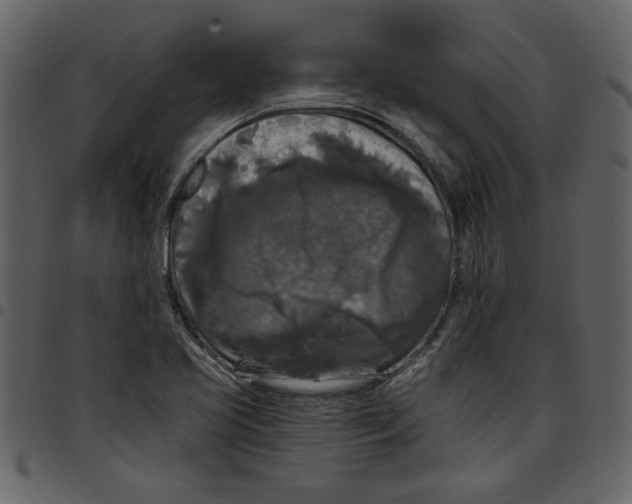 X0000097511413200803201605