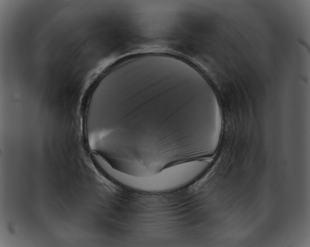 X0000097511414200803201605