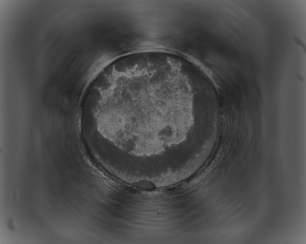 X0000097511415200803201605