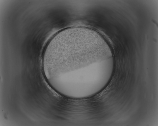 X0000097511416200803201605