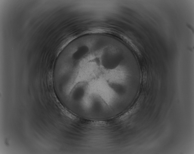 X0000097511417200803201605