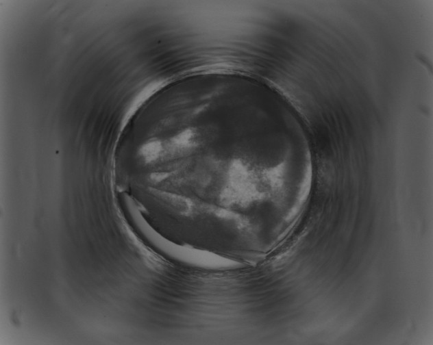 X0000097511418200803201605