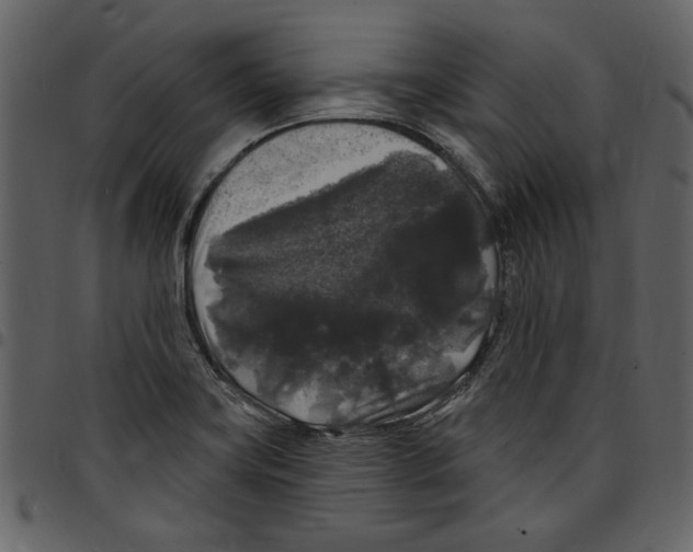 X0000097511419200803201605