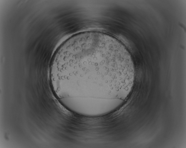 X0000097511420200803201605