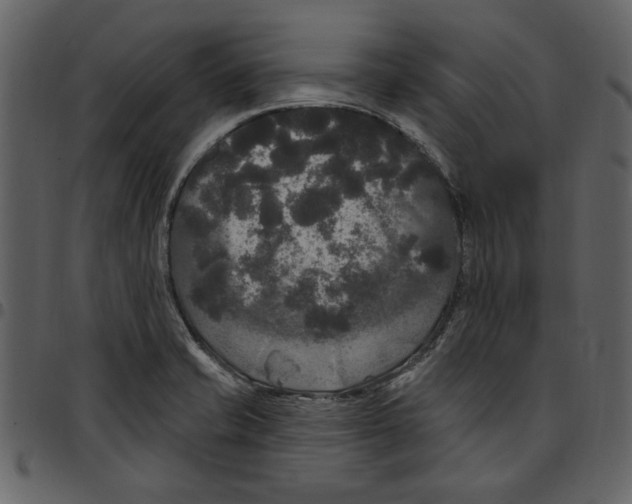 X0000097511421200803201605