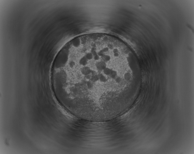X0000097511423200803201605