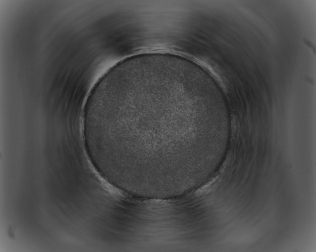 X0000097511424200803201605