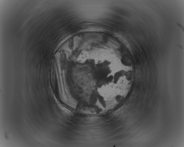 X0000097511425200803201605