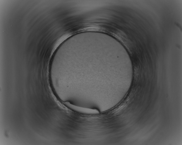X0000097511426200803201605