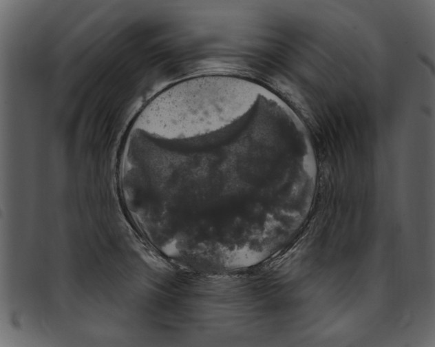 X0000097511427200803201605