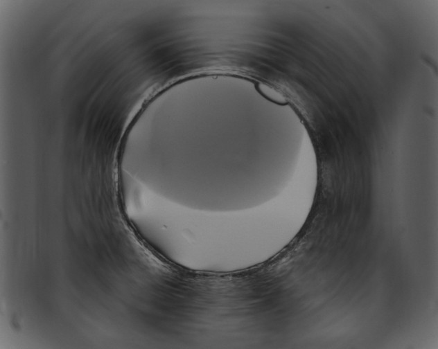 X0000097511428200803201605